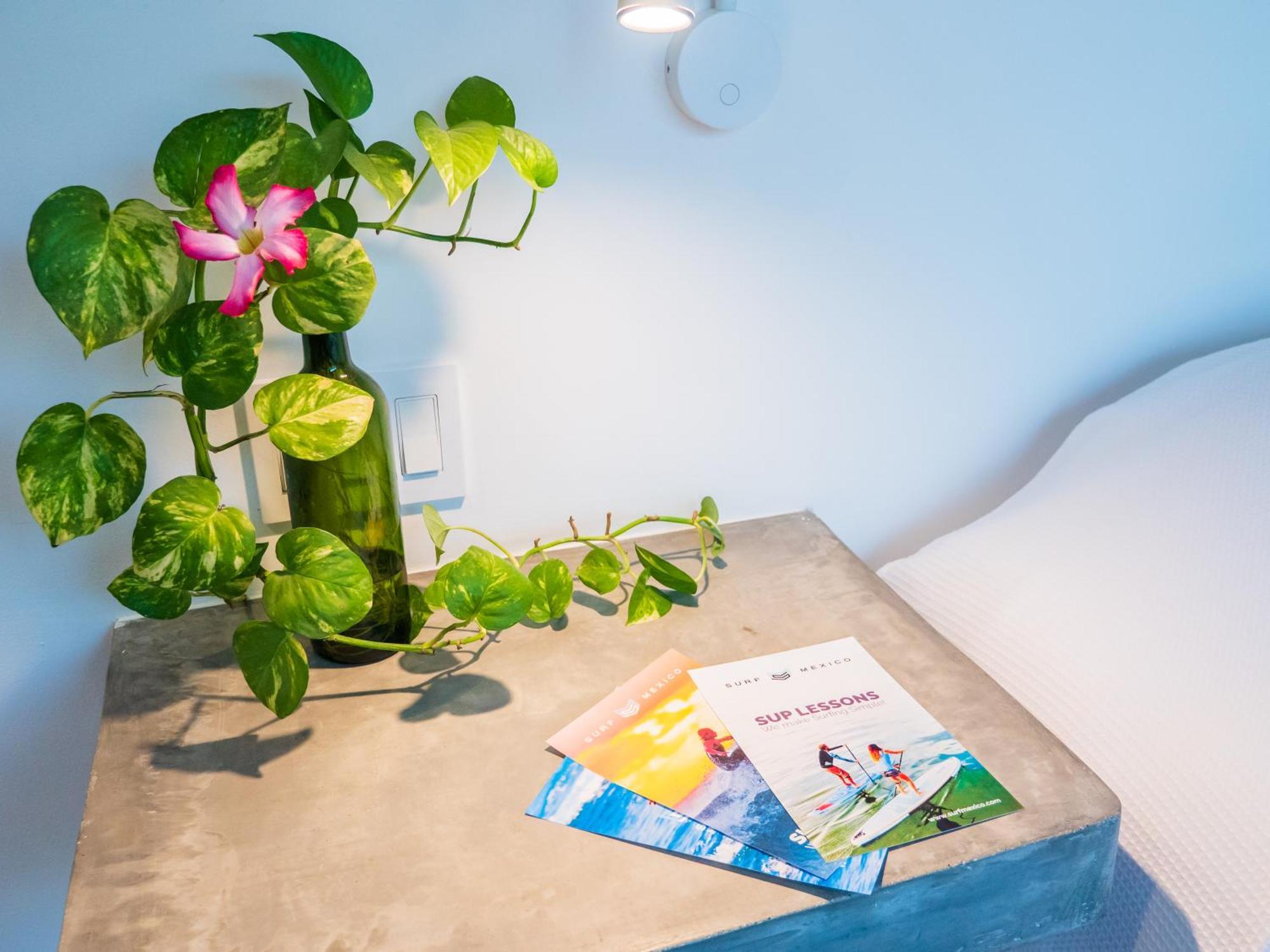 Nereidas Lofts Bucerias Bilik gambar